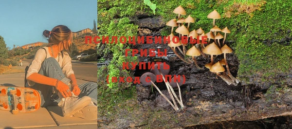 первитин Вязьма