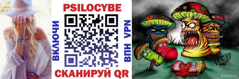Галлюциногенные грибы Cubensis  Шенкурск 